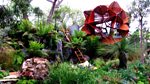 RHS Chelsea Flower Show: 2013: Episode 6