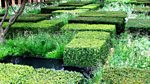 RHS Chelsea Flower Show: 2013: Episode 12