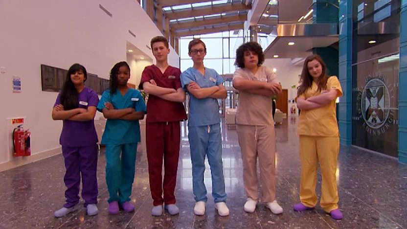 The six junior vets.