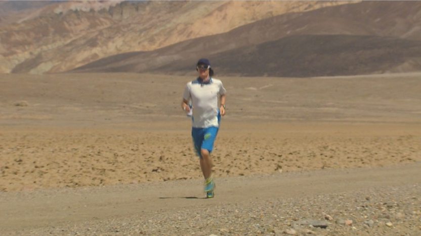 Leo in the desert