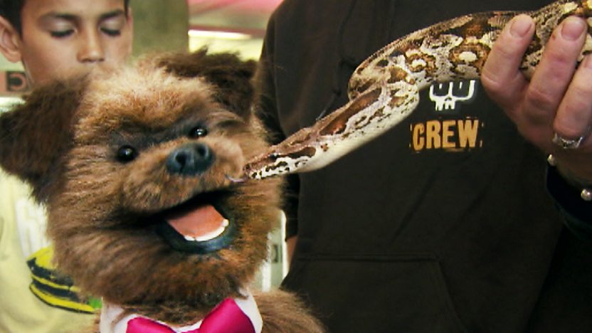 Hacker T Dog looking worried next to a snake.