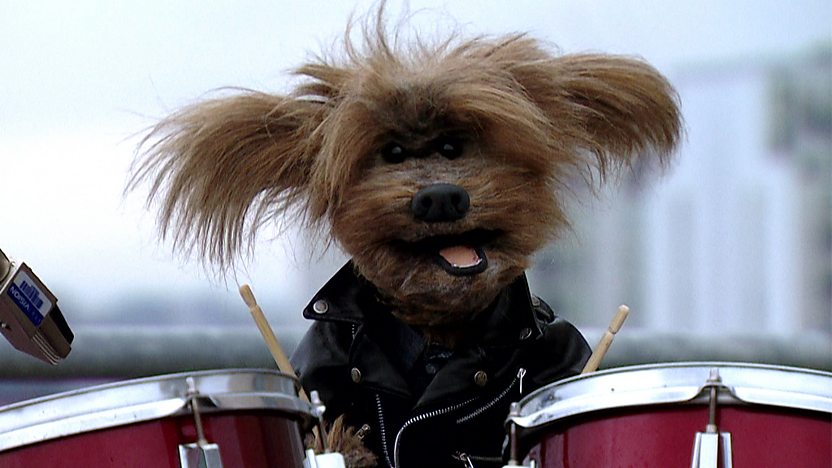 Dodge T Dog in a leather jacket playing the drums.