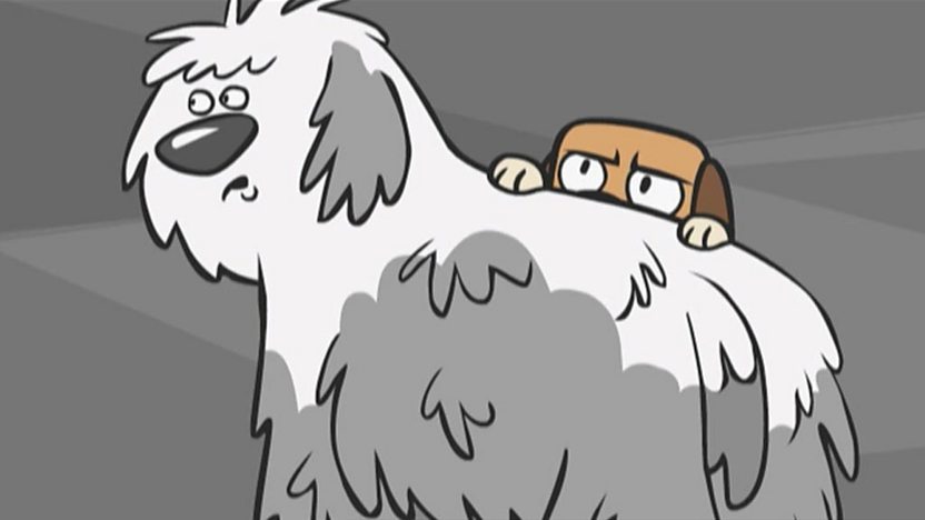 A sheepdog and Dodge