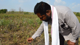 Bhaskar Deovalvar