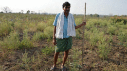 Ram Rao Narayan Panchlenvar