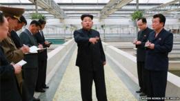 Kim
