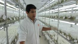Laboratorio en Perú