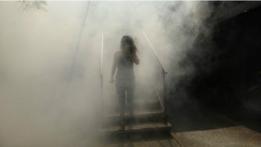 Fumigación en El Salvador