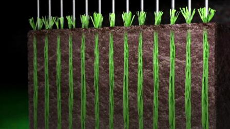 El cesped por el que se 360 semilla