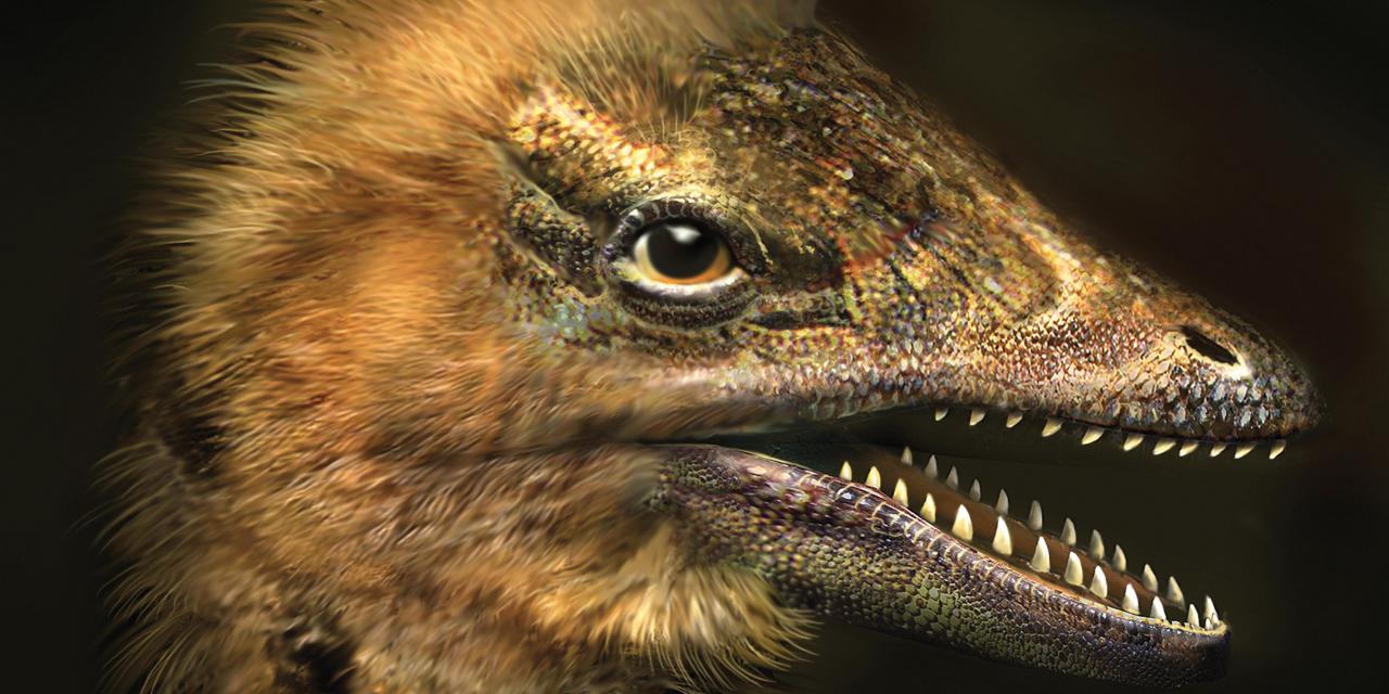 dinosaur with duck beak