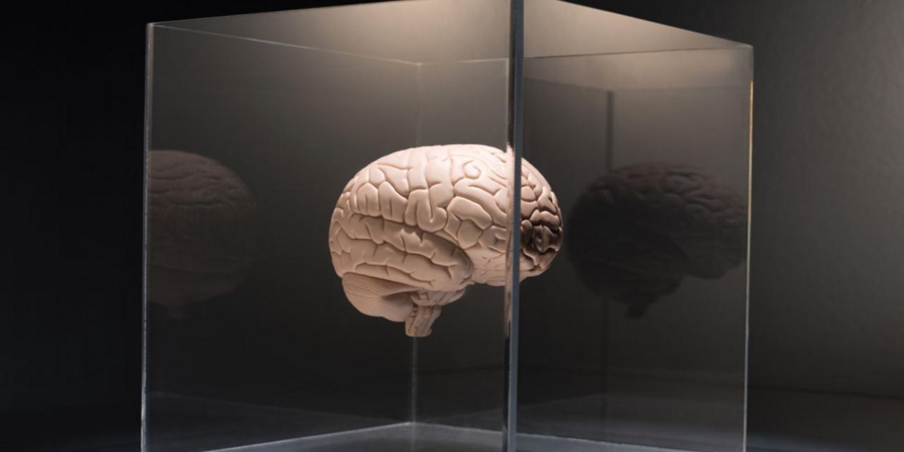 Dos and don’ts to preserve your brainpower