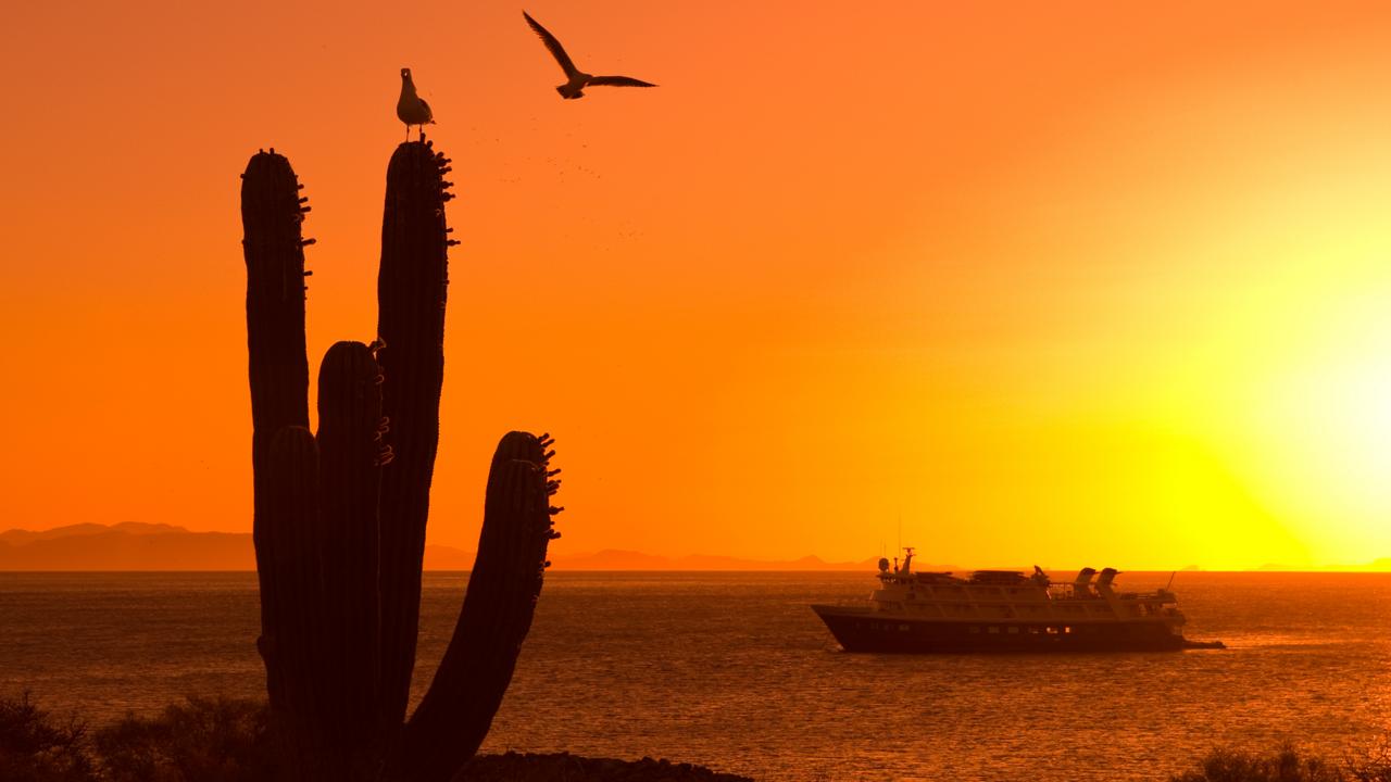 baja mexico sunset california (Credit: Ralph Lee Hopkins/National Geographic Creative)