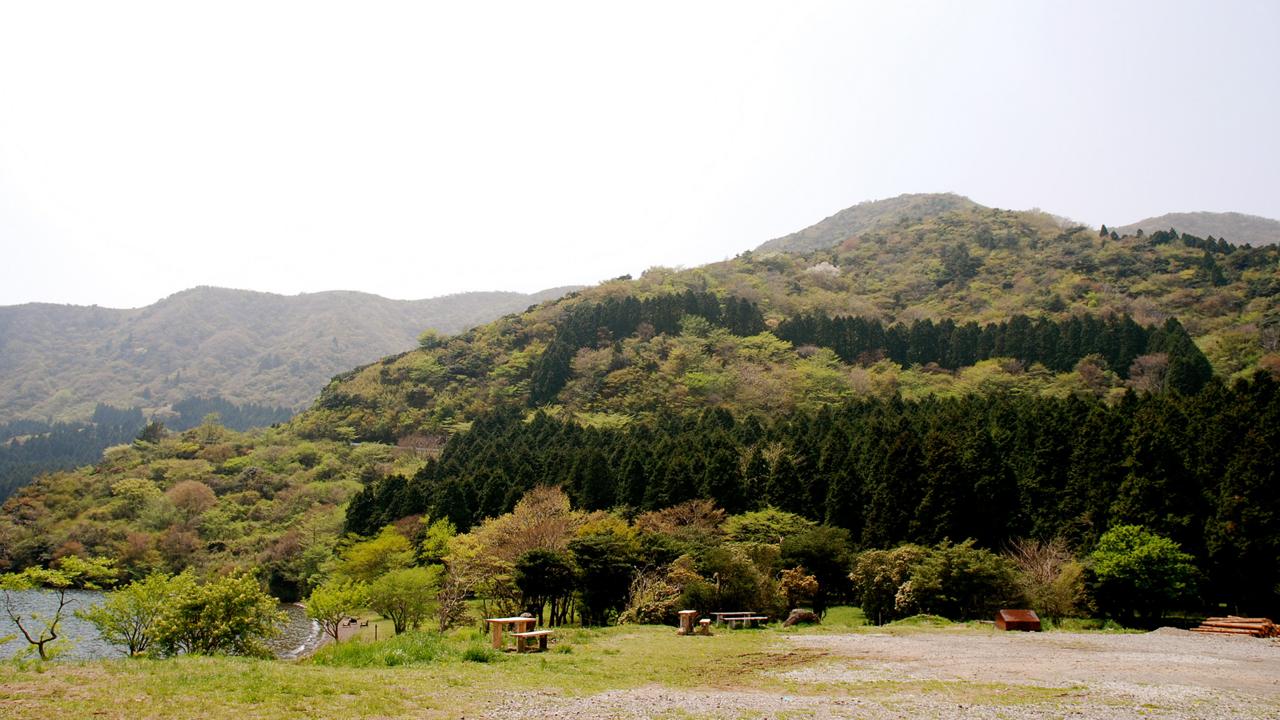 Lush Aogashima (Credit: Jaime Pérez/Flickr)