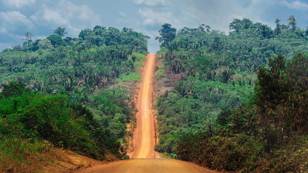 Trans-Amazonian Highway, Amazon rainforest, Brazil (Credit: Coen Wubbels)