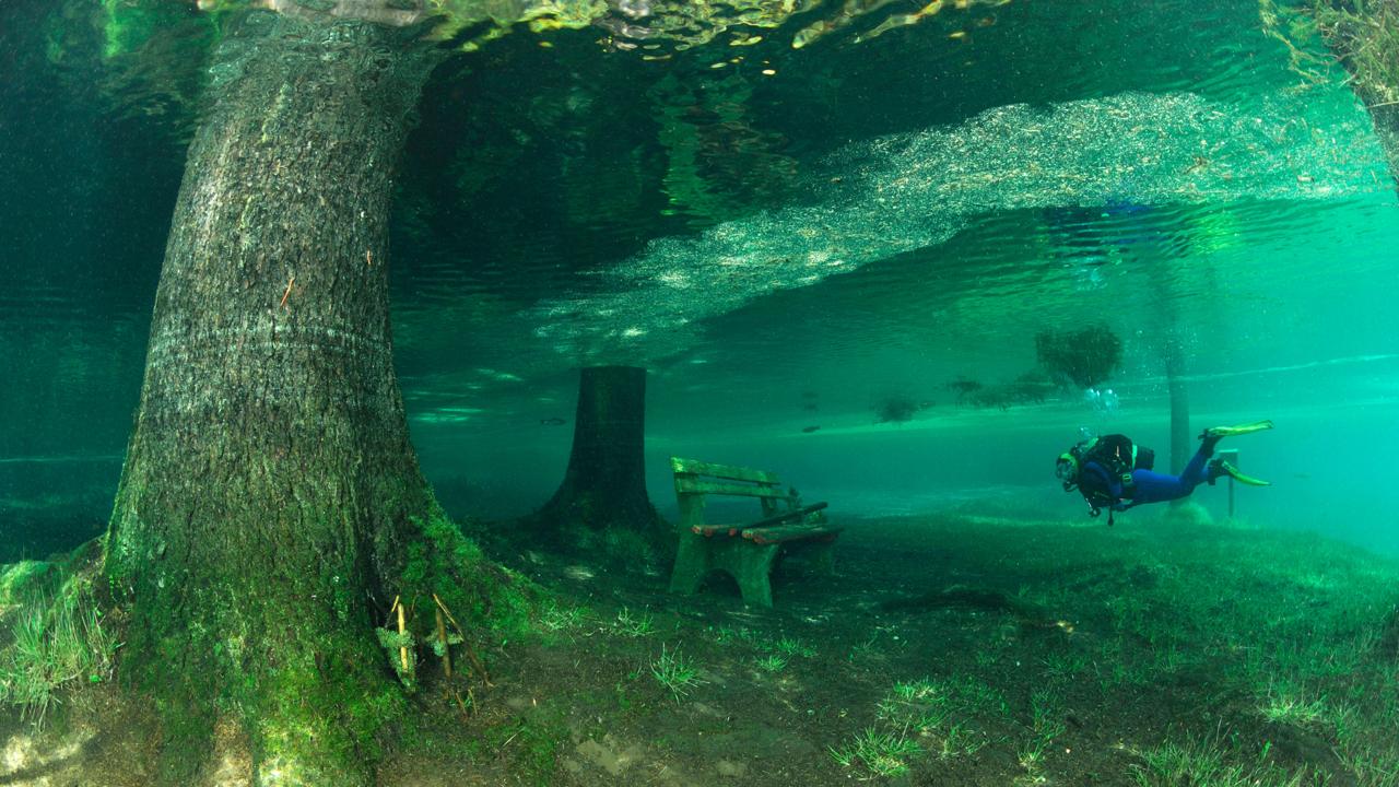 Diving Green Lake, Austria (Credit: Credit: Westend61 GmbH/Alamy)