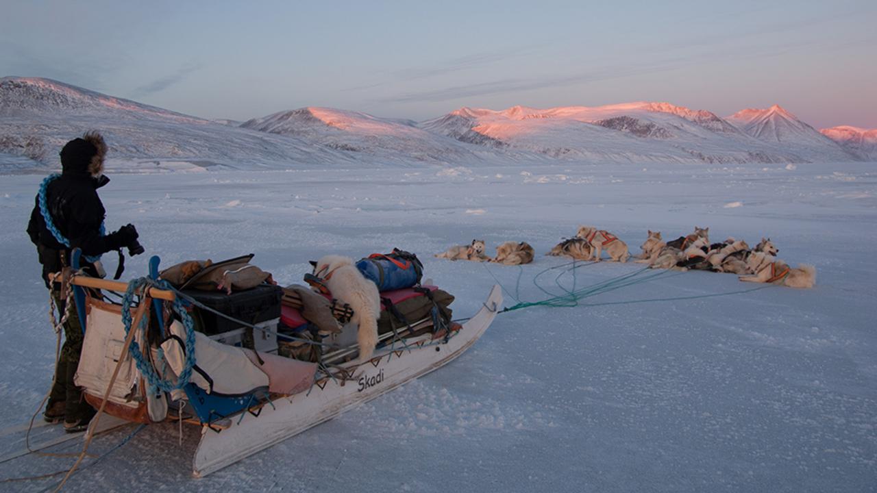 Sirius Sled Patrol (Slædepatruljen Sirius) in Greenland (Credit: Morten Hilmer)