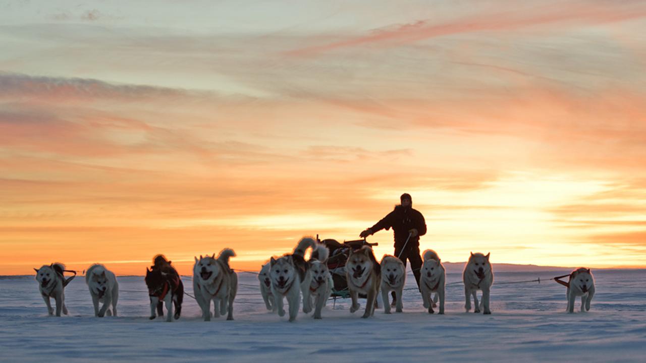 The Sirius Sled Patrol (Slædepatruljen Sirius) in Greenland (Credit: Morten Hilmer)