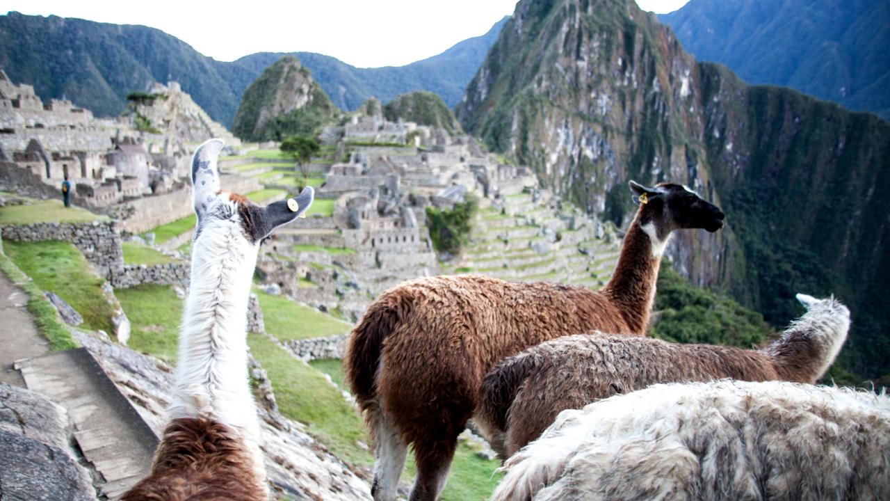 A quiet arrival at Machu Picchu (Credit: Credit: Guy Wilkinson) A quiet arrival at Machu Picchu (Credit: Credit: Guy Wilkinson)