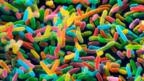 Microbiome: bacteria