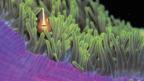 The ninth part of the BBC Future series Power of Nature