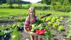 (Stockbyte)