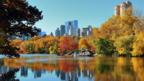 Central Park (Thinkstock)