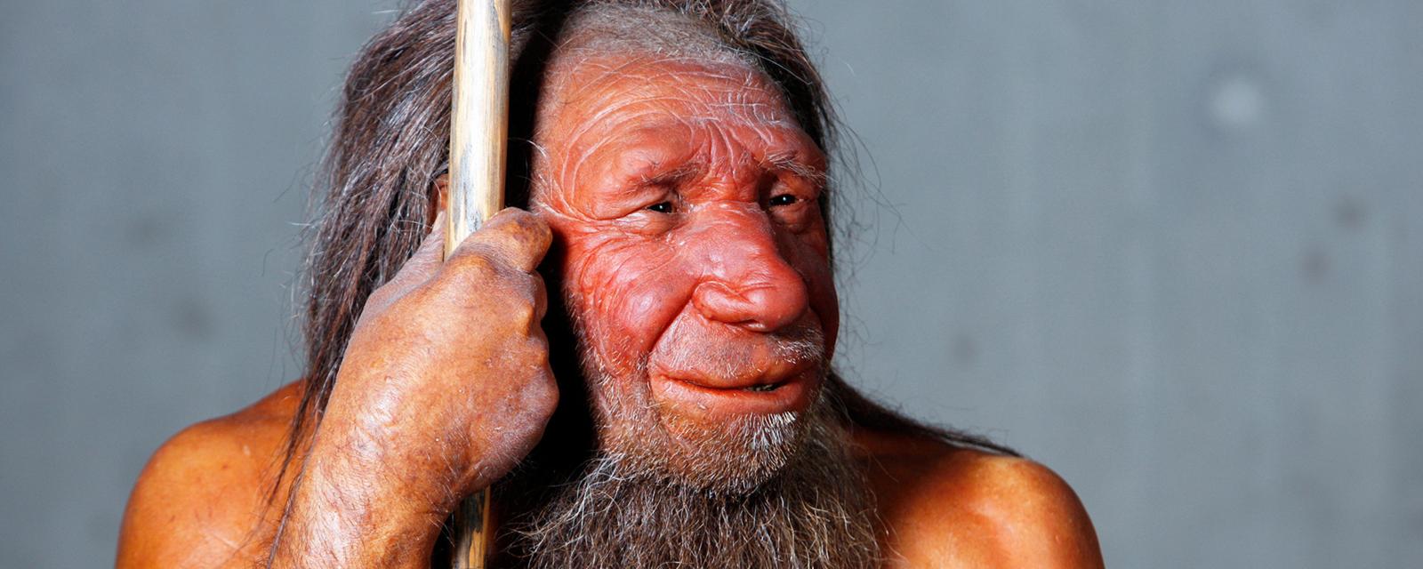 Neanderthals were our close relatives (Credit: Jochen Tack/Alamy Stock Photo)