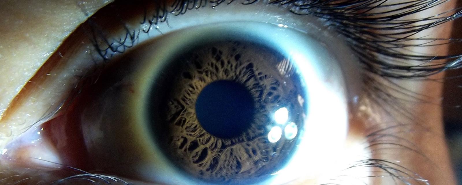 (Lumis Romero/Flickr/CC BY 2.0) 