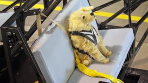 Crash-test doggies