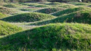 Mima mounds near Littlerock, Washington (Credit: Kevin Ebi / Alamy)