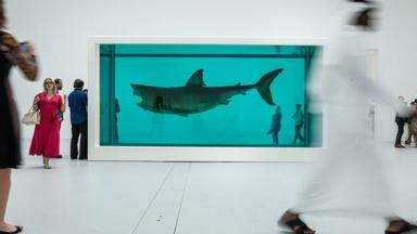 Damian Hirst’s The Physical Impossibility of Death in the Mind of Someone Living (1991) (Credit: Niccolo Guasti/Getty Images)