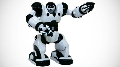 Robosapien burps, raps and dances - the secret of its success? (WowWee)