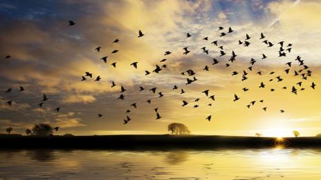 (Thinkstock) (Thinkstock)