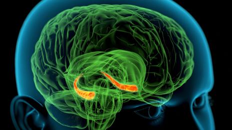 (Science Photo Library) (Science Photo Library)