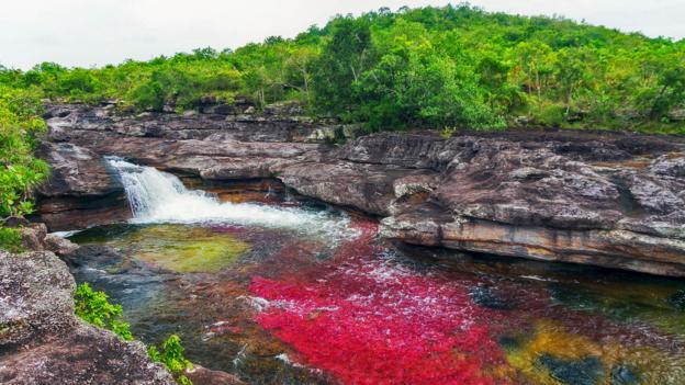 BBC - Travel - Colombia's 'Liquid Rainbow'