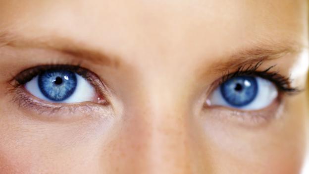 BBC - Future - Evolution: Why do your eyes face forwards?