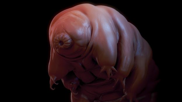 Computer-generated image of a tardigrade (Credit: The Science Picture Company/Alamy)