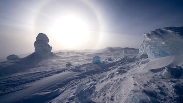 Sub-zero temperatures of Antarctica? No problem (Credit: Nature Picture Library/Alamy)