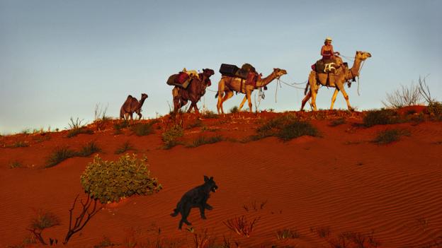 Robyn Davidson; Australian outback; journey; trek; camels (Credit: Credit: Rick Smolan/National Geographic)