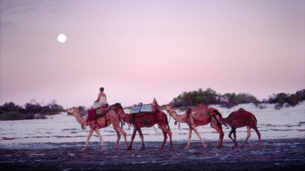 Robyn Davidson; Australian Outback; trek; journey; camels (Credit: Credit: Rick Smolan/National Geographic)