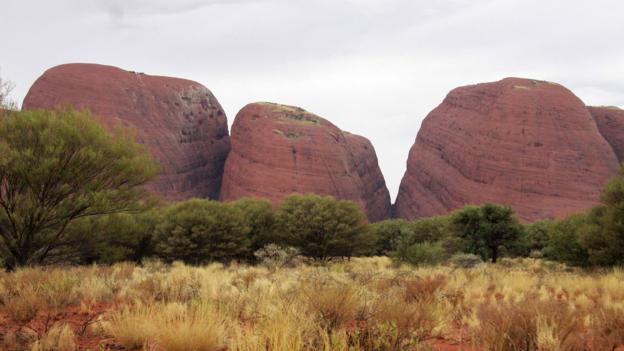 The heads of Kata Tjuta crowd together like sleepy children (Credit: Credit: Georgia Rickard) The heads of Kata Tjuta crowd together like sleepy children (Credit: Credit: Georgia Rickard)