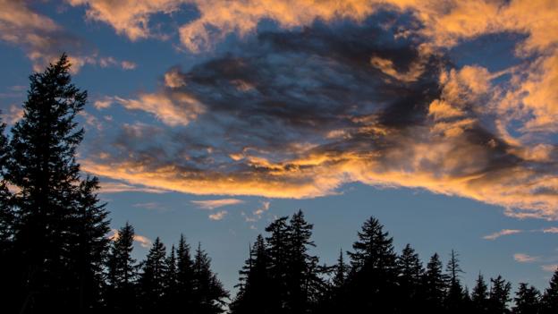 Light over Oregon's forests (Credit: Credit: George Rose/Getty) Light over Oregon's forests (Credit: Credit: George Rose/Getty)