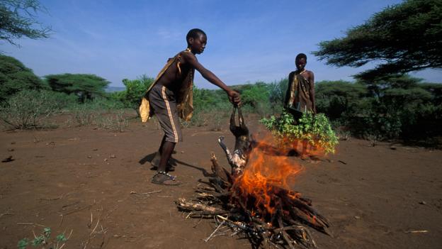 Control of fire was a major step in human history (Credit: Ariadne Van Zandbergen/Alamy)