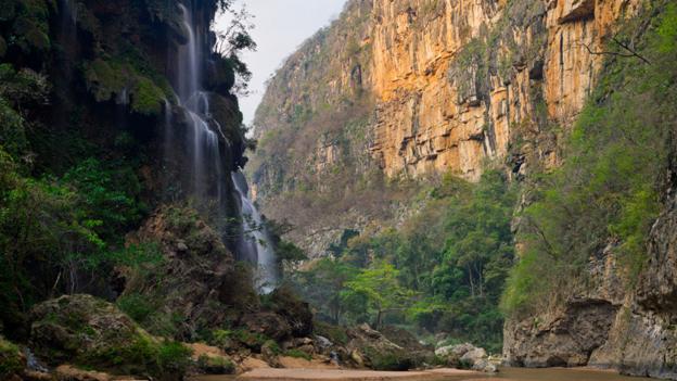 Cascadas de Aguacero, Chiapas (credit: Floris van Breugel / NPL).