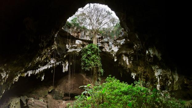 Calcehtok cavern, Yucatan (credit: Jack Dykinga / NPL).
