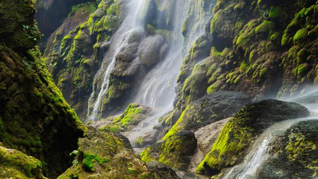 Aguacero Waterfalls, Chiapas (credit: Floris van Breugel / NPL).