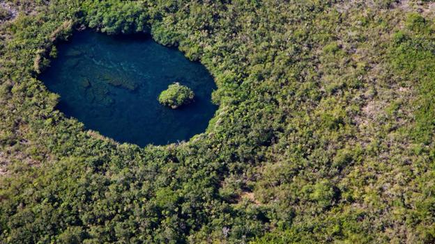 Sinkhole in Quintana Roo, Yucatan (credit: Michel Roggo / NPL).