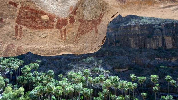 Ancient cave paintings, Sierra de San Francisco (credit: Patricio Robles Gil / NPL).