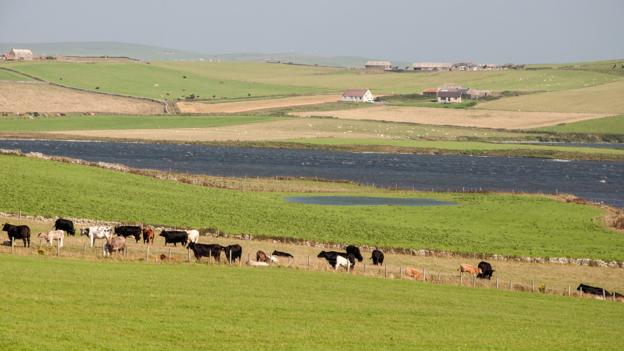 A peaceful view of Orkney (Credit: Credit: Amanda Ruggeri) A peaceful view of Orkney (Credit: Credit: Amanda Ruggeri)