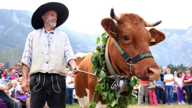 Villagers celebrate the cows’ homecoming every autumn (Credit: Credit: Mitja Sodja/Tourism Bohinj)